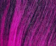 1/Plum