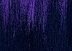 1/Royal Purple/BN Blue