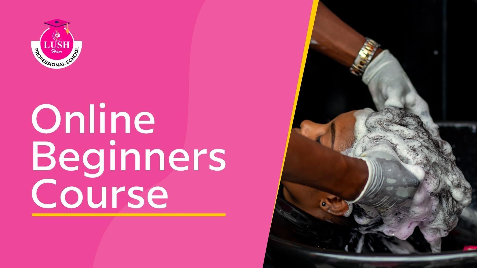 Beginners Program (Online)